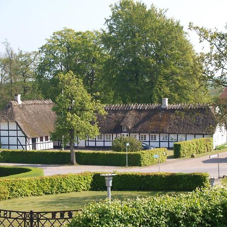 Baekgaarden B&B Lyndelse Exteriör bild