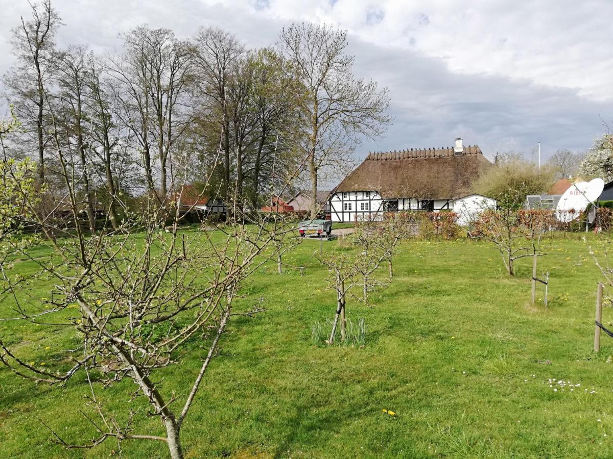 Baekgaarden B&B Lyndelse Exteriör bild
