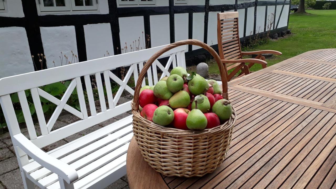 Baekgaarden B&B Lyndelse Exteriör bild
