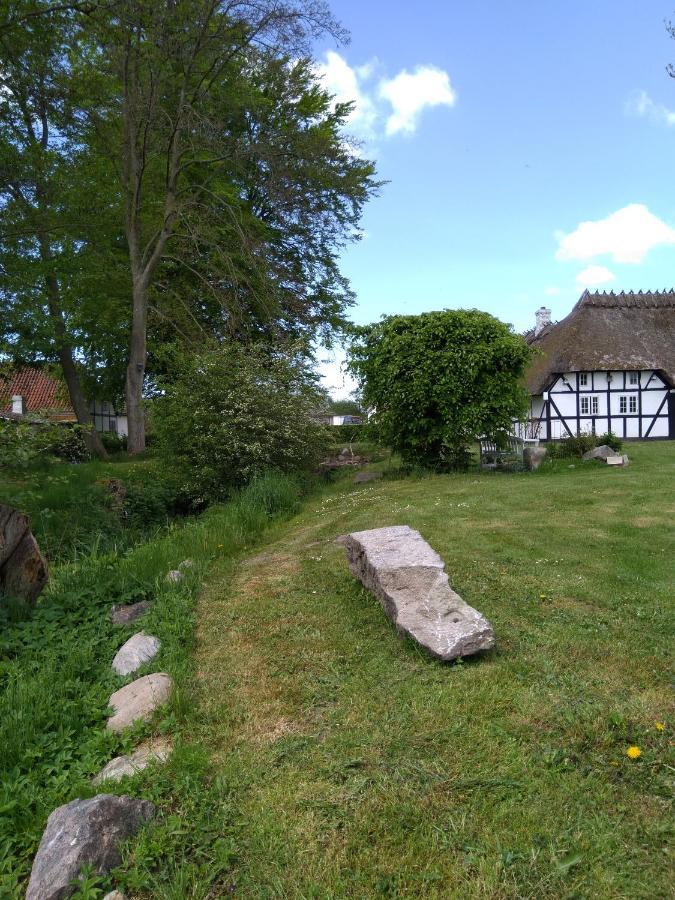 Baekgaarden B&B Lyndelse Exteriör bild